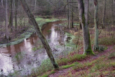 Blick auf die Seeve bei Wehlen